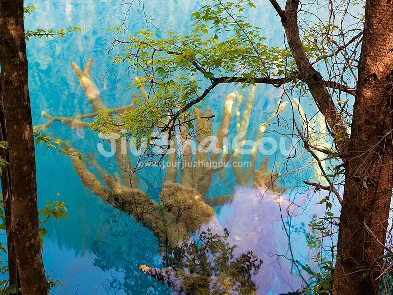 Sleeping Dragon Lake