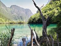 Sleeping Dragon Lake Jiuzhaigou