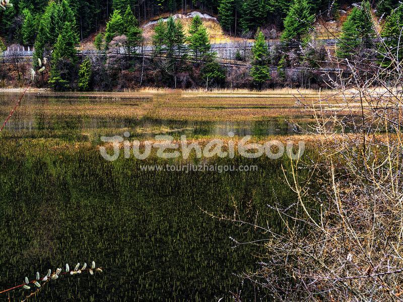 Sparkling Lake