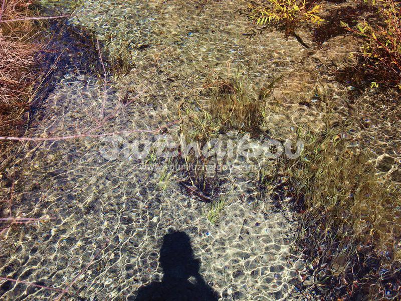 Sparkling Lake
