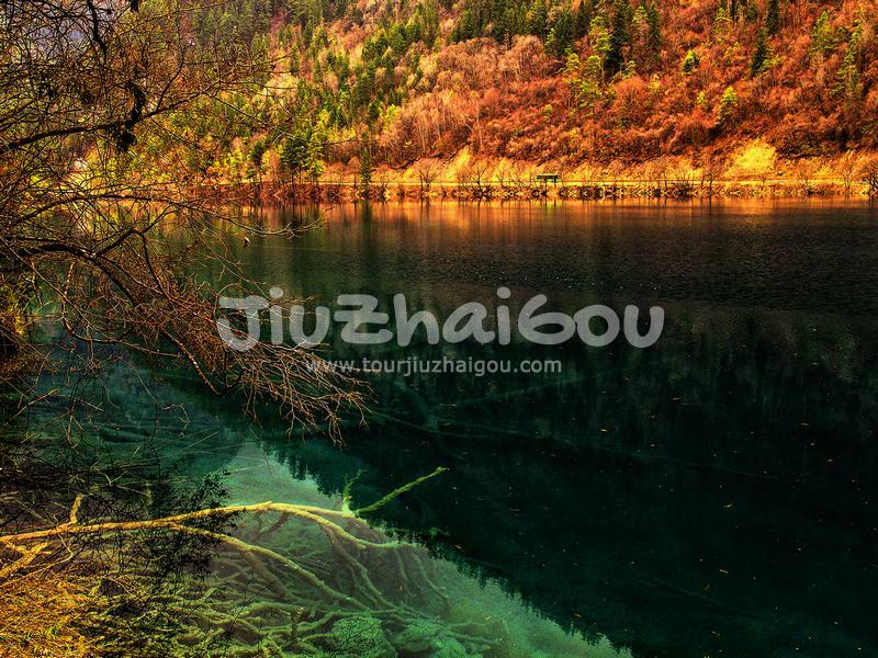 Sparkling Lake in Jiuzhaigou