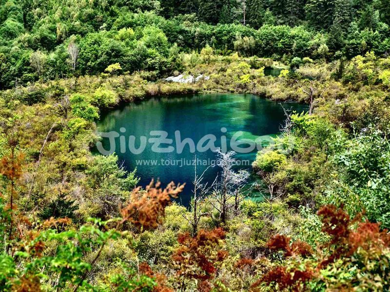 Sparkling Lake Jiuzhaigou