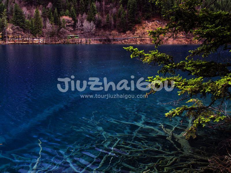 Sparkling Lake
