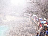 Spring in Jiuzhaigou