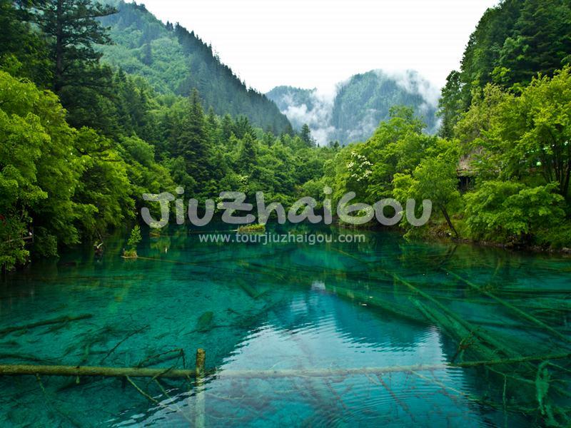 Jiuzhaigou National Park in Spring 
