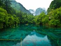 Jiuzhaigou National Park in Spring 