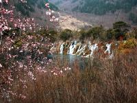 Spring in Jiuzhaigou