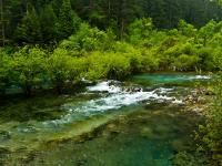 Spring in Jiuzhaigou