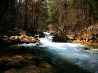 Spring in Jiuzhaigou National Park 