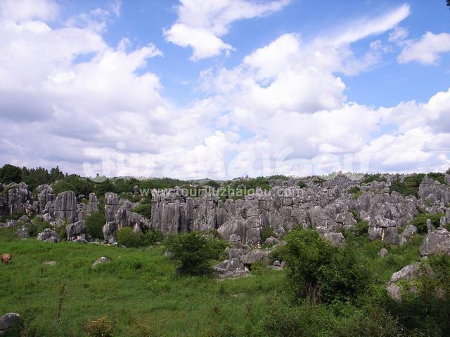 Karst Stone Forest Kunming