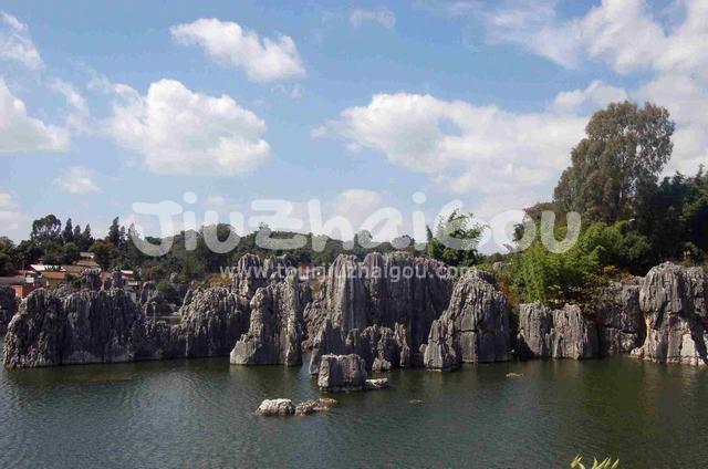 Stone Forest