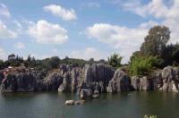 Stone Forest