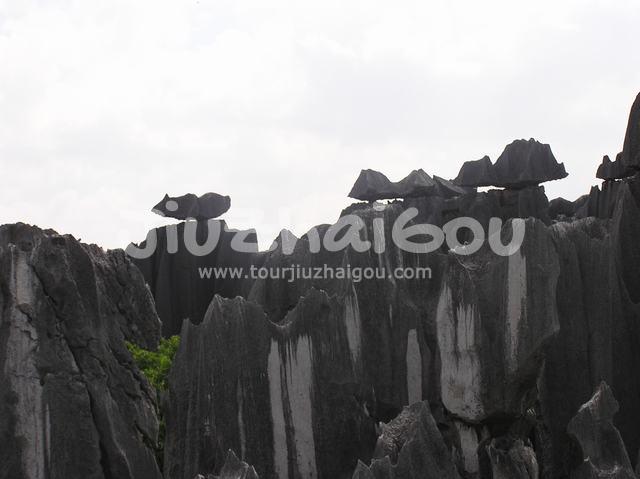 Stone Forest Landscape
