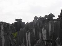 Stone Forest Landscape