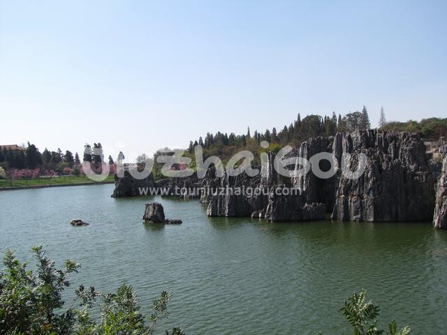 Stone Forest