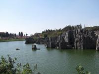 Stone Forest