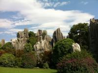 Stone Forest