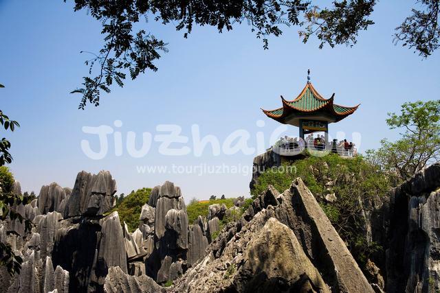 Stone Forest