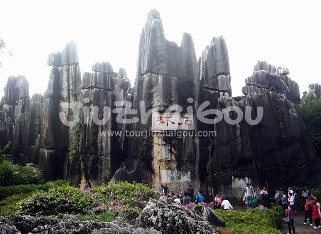 Stone Forest