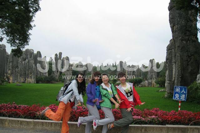 Stone Forest