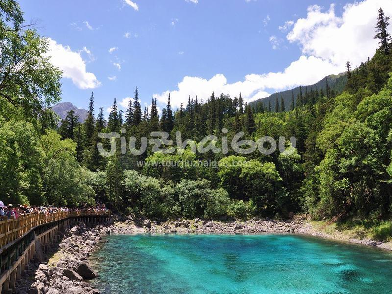Summer in Jiuzhaigou