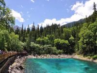 Summer in Jiuzhaigou