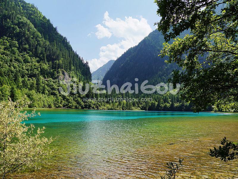 Summer in Jiuzhaigou