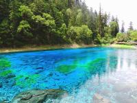 Jiuzhaigou in Summer  