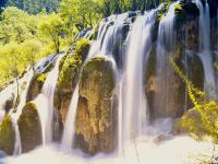 Summer in Jiuzhaigou