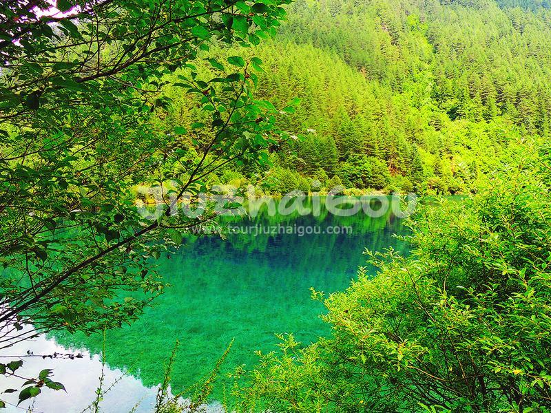 Summer in Jiuzhaigou