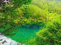 Summer in Jiuzhaigou