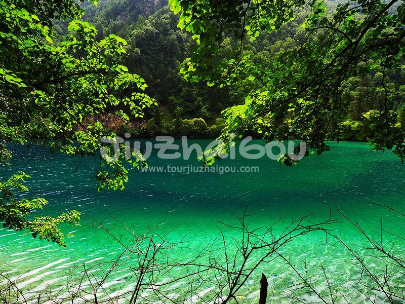 Summer in Jiuzhaigou