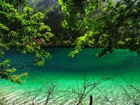 Summer in Jiuzhaigou