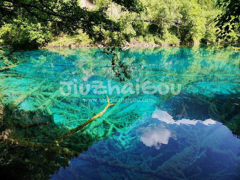 Summer in Jiuzhaigou