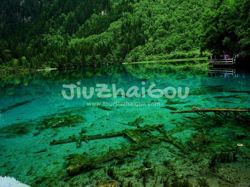 Summer in Jiuzhaigou