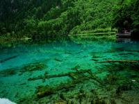 Summer in Jiuzhaigou