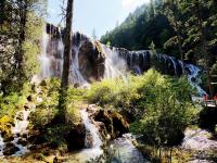 Summer in Jiuzhaigou