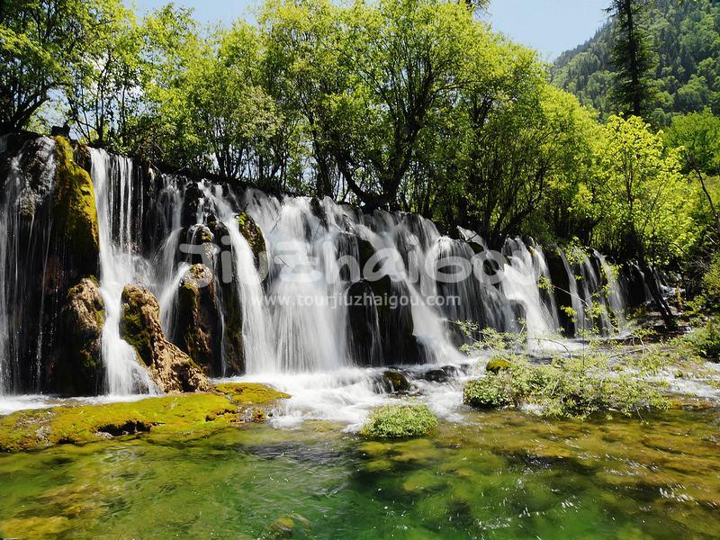Summer in Jiuzhaigou