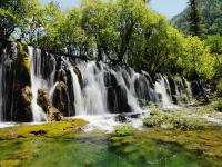 Summer in Jiuzhaigou