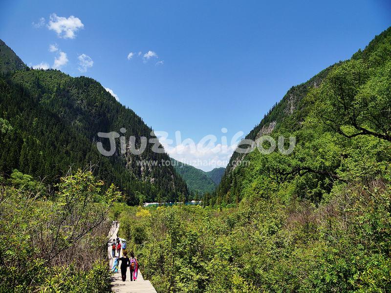 Summer in Jiuzhaigou