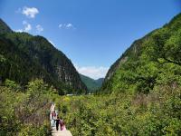 Summer in Jiuzhaigou