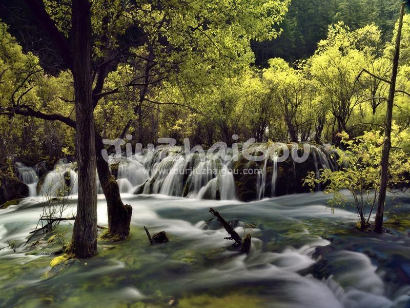 Jiuzhaigou Summer Season 
