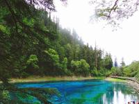 Summer in Jiuzhaigou