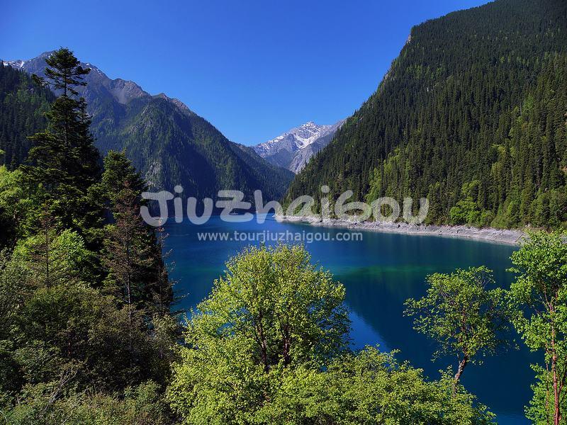 Summer in Jiuzhaigou