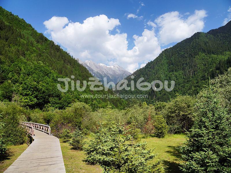 Summer in Jiuzhaigou