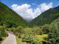 Summer in Jiuzhaigou