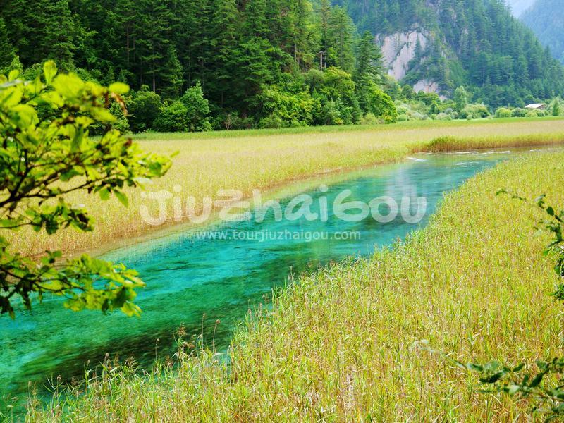 Summer in Jiuzhaigou