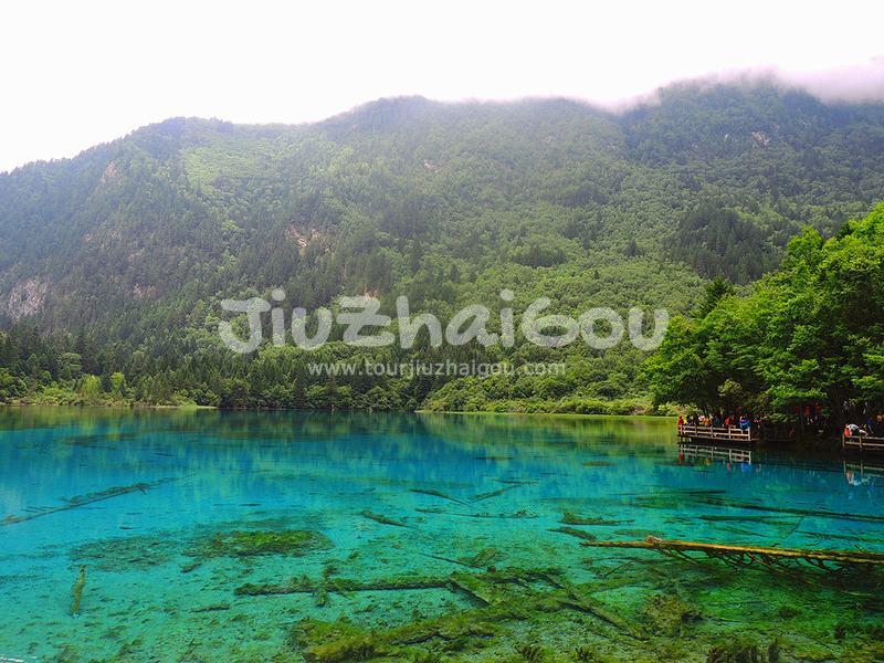 Summer in Jiuzhaigou