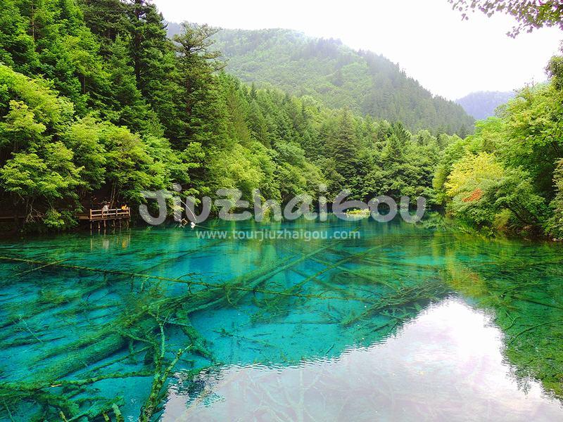 Summer in Jiuzhaigou