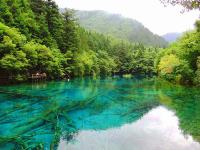 Summer in Jiuzhaigou